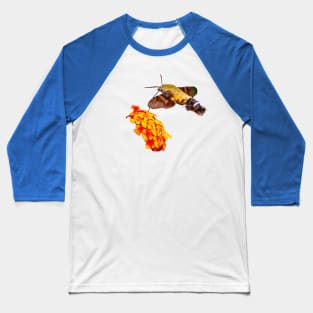 Hummingbird Hawk moth Baseball T-Shirt